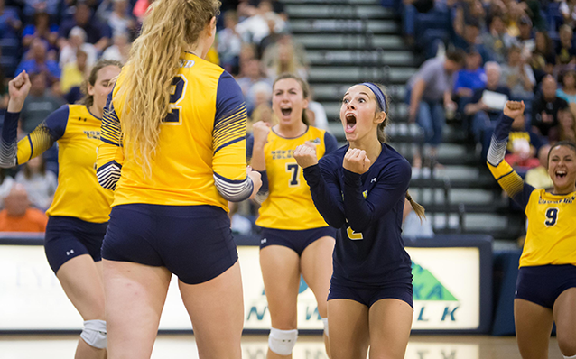 volleyball players celebrate