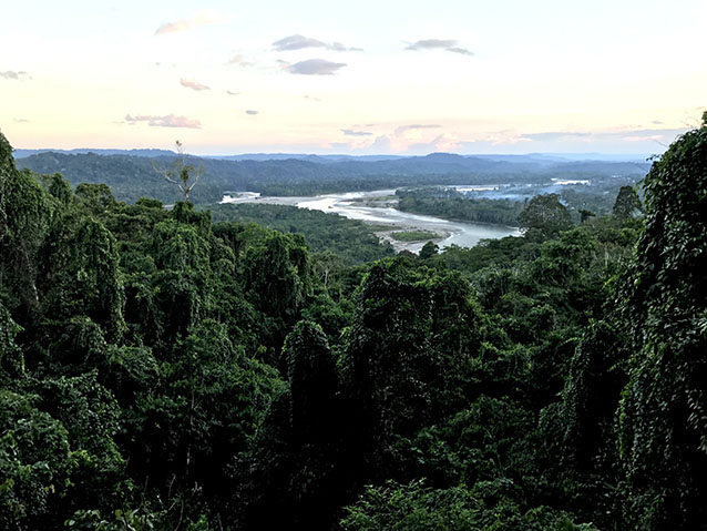 View of the Napo River