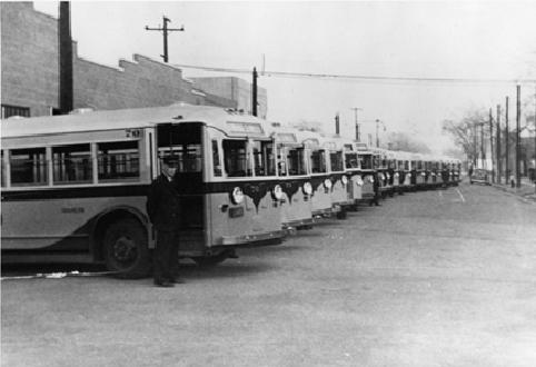 A Row Of City Busses (1940's)