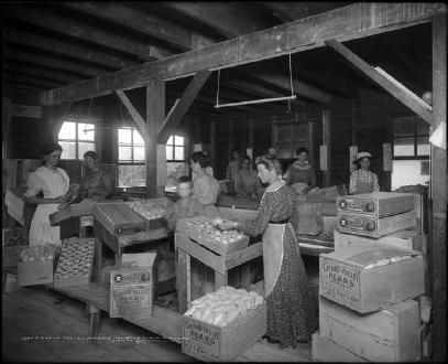 Fruit Packing Warehouse (1910)