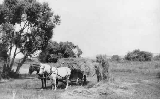 Loading a Hay Wagon
