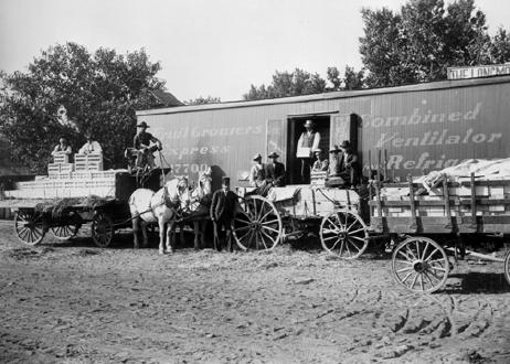 Loading Vegetables On a Boxcar