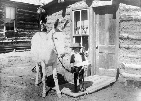 A Child With Burro