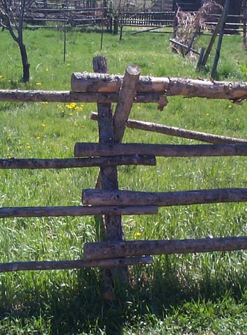 Fences And Fields