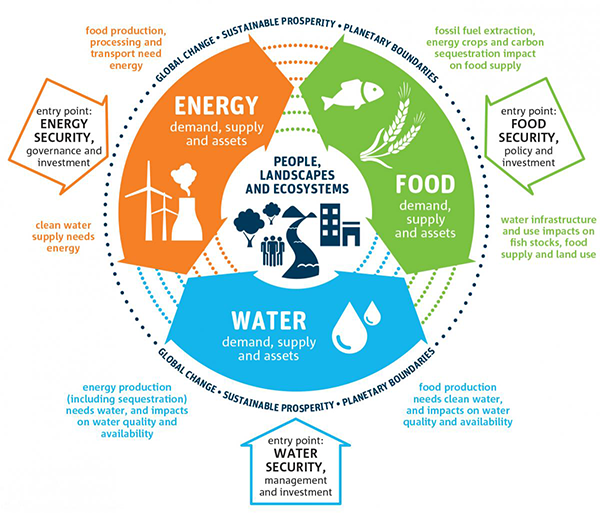 Food-water-energy concepts