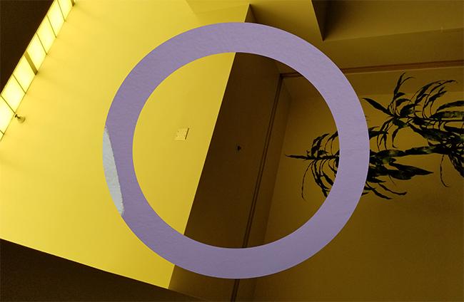 "Intersex Flag" (photography by Maximus Ampudia)