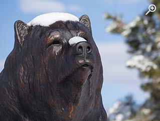 Bronze bear covered with snow