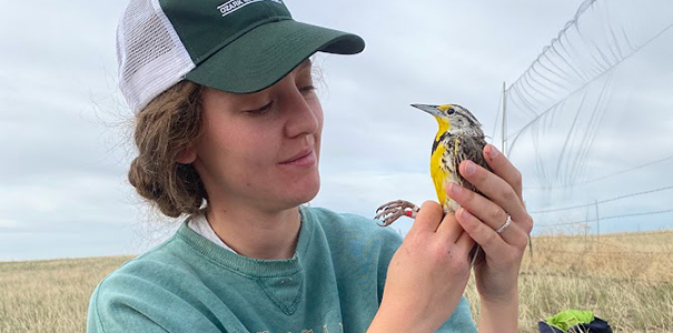 Leah Crenshaw holding a western meadowlark.