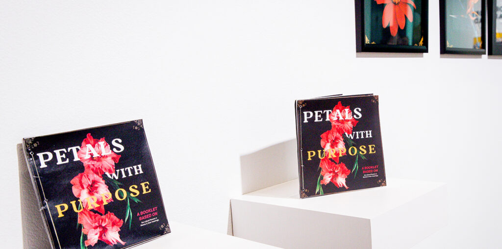 Photographs of red flower petals on black background