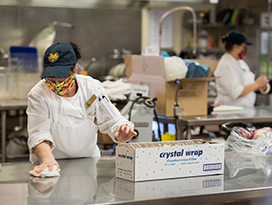 Riley cleaning counter