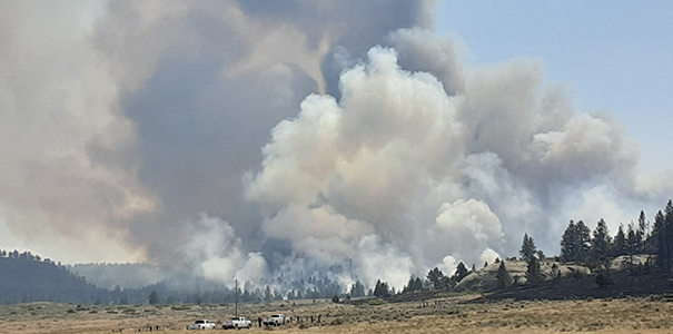 Katherine Muser Fire