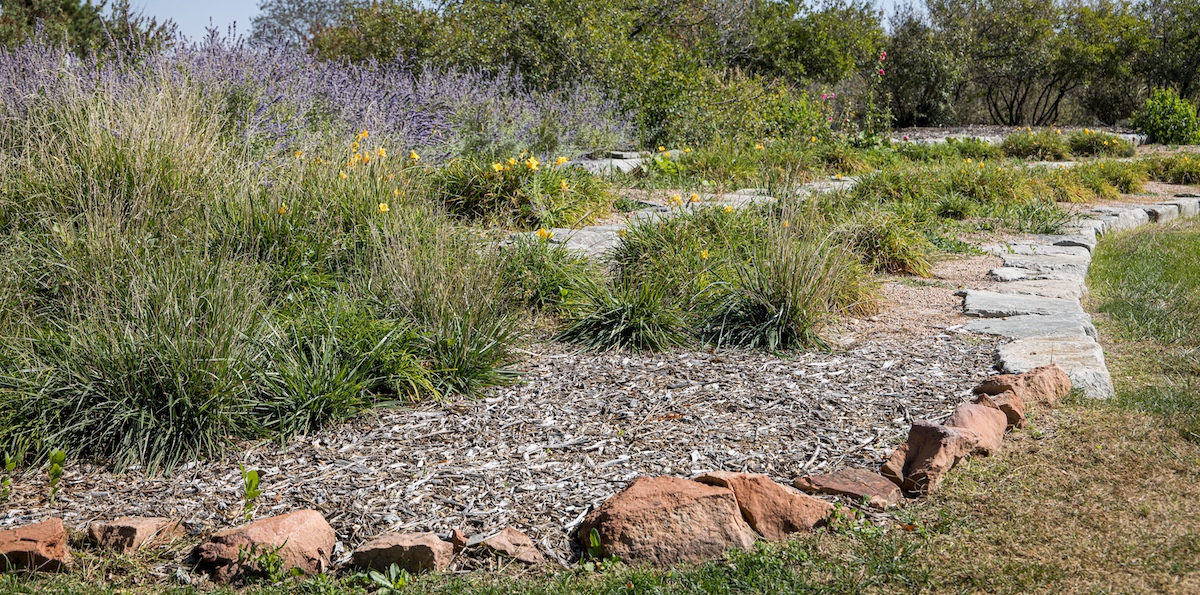 Sprouting New Landscape to Save Around 2 Million Gallons of Water Per ...