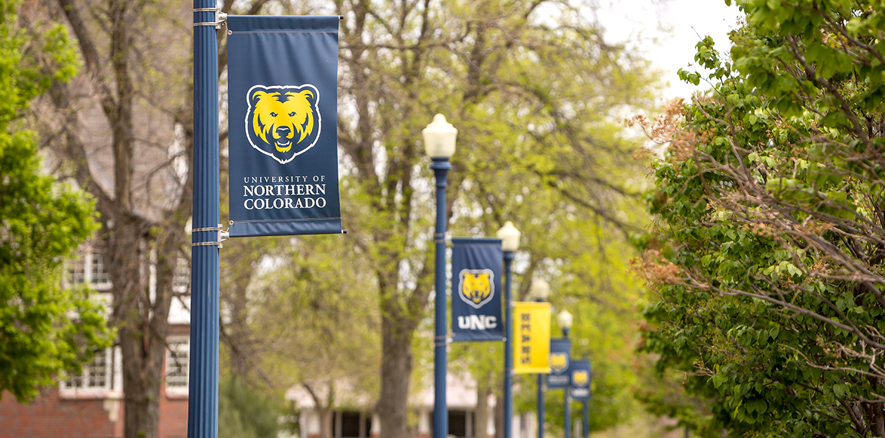 A row of blue and gold banners hanging on outdoor light pole with UNC name and Bear logo on them.
