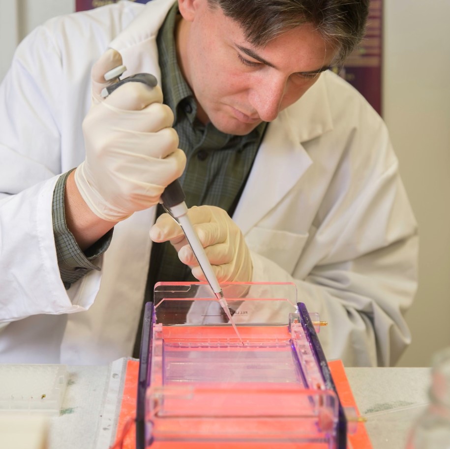 A professor working in a biology lab.