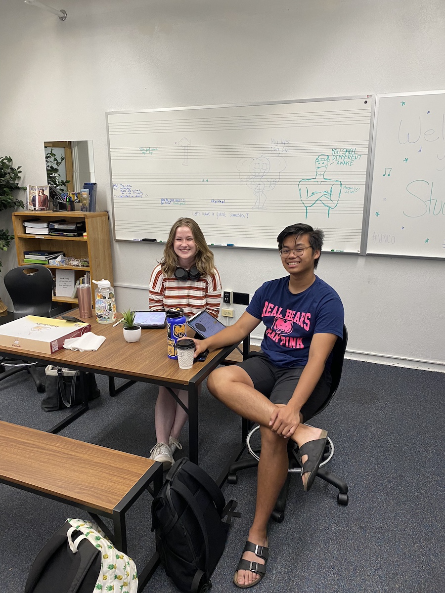 Students studying in the student lounge.