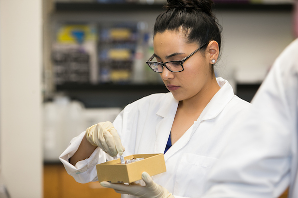 Student viewing test samples in bio lab