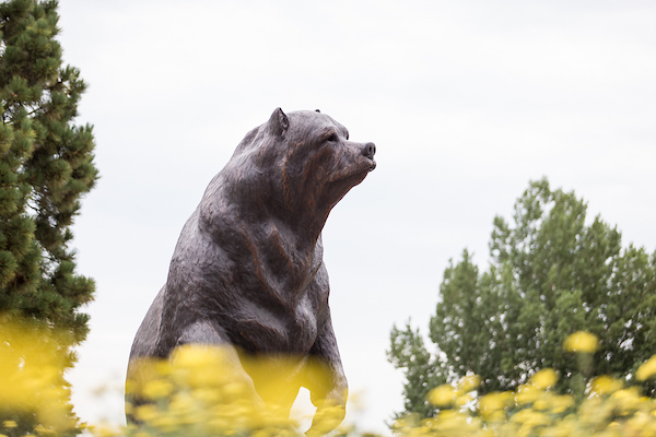 Bear Statue