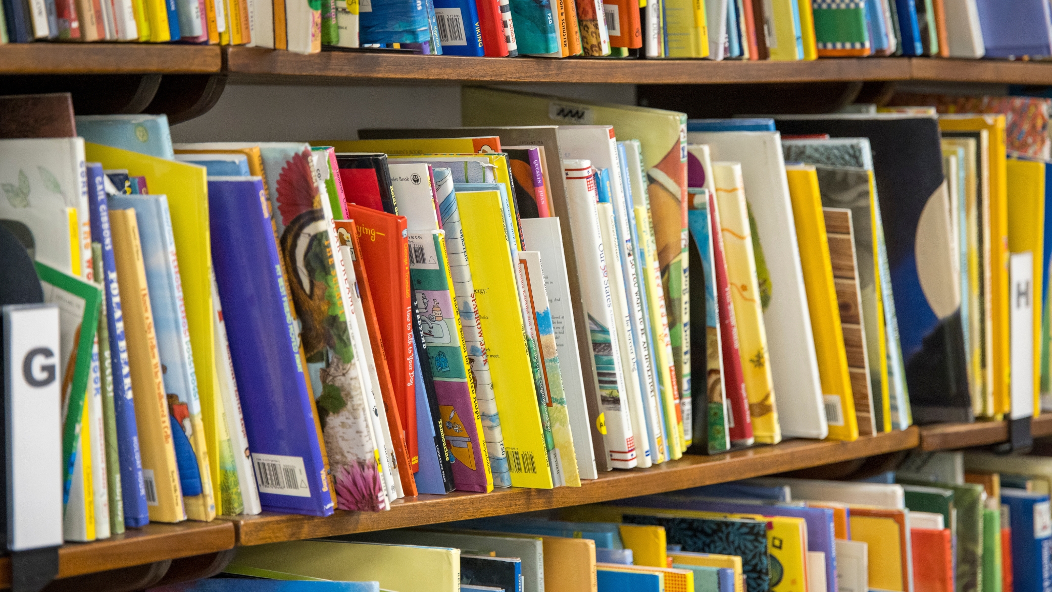 Elementary Education books sitting on a shelf