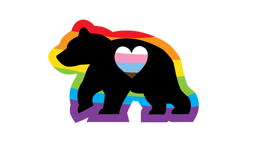 Pride Bear mentoring bear logo for the Gender and Sexuality Resource Mentoring Program