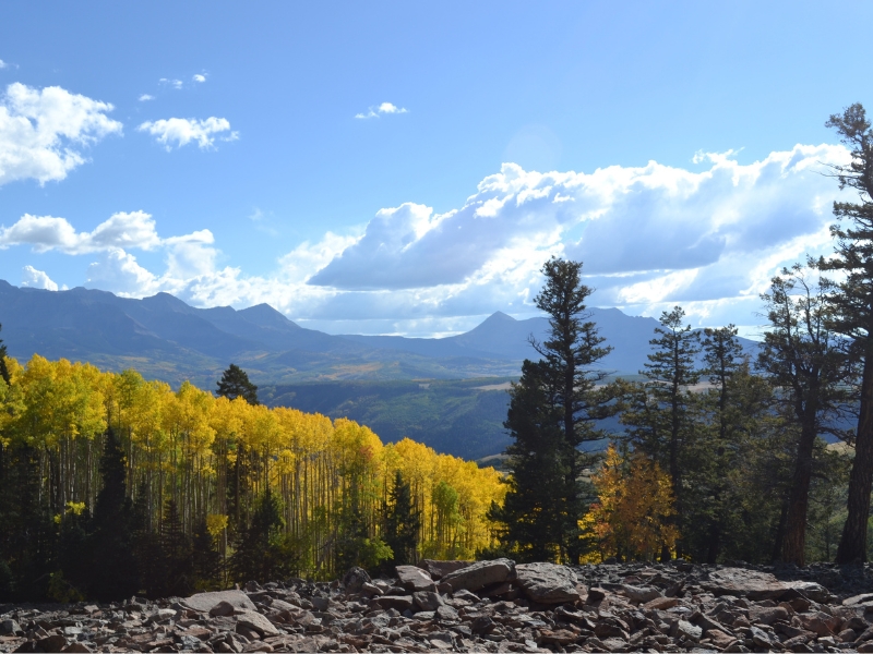 Skyline of the Colorado Rocky Mountains in Vail in the summer time