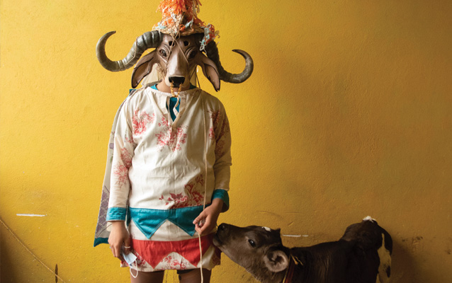 A person in a cow headdress and cultural clothing, standing against a yellow wall, next to a calf.