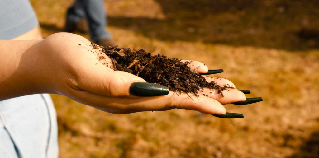 A hand full of compost soil