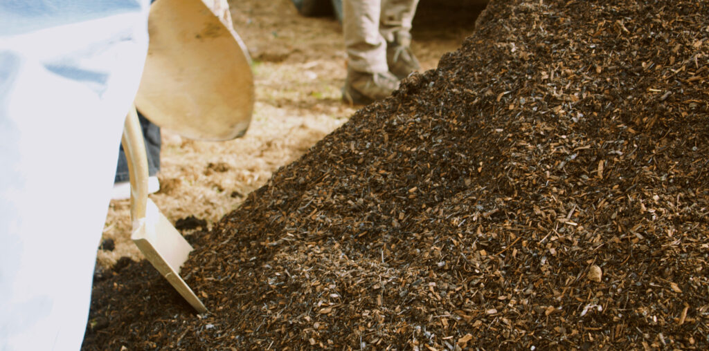 A pile of composting soil.