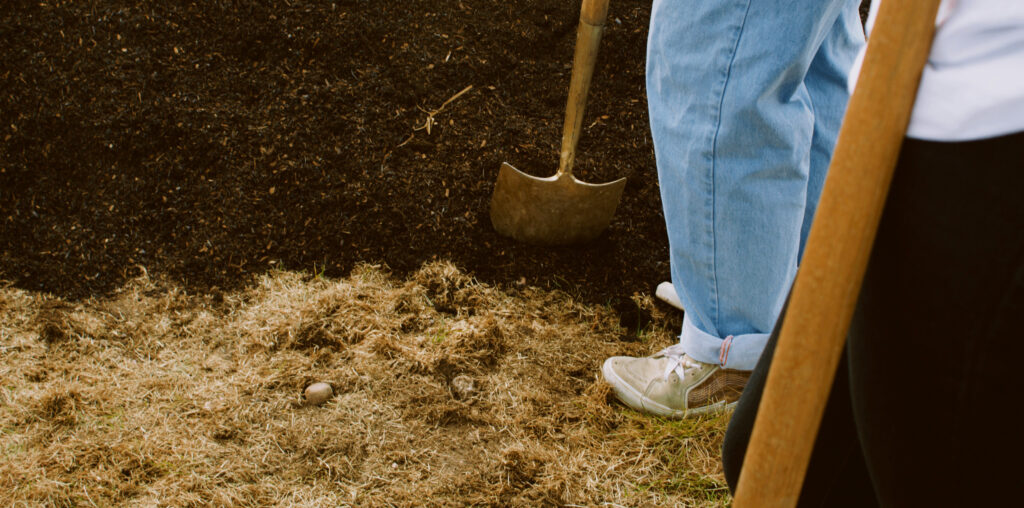A pile of composting soil.