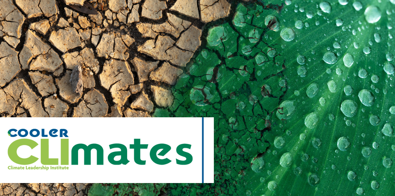 Dry earth and a green leaf with dew under the COOLER program logo