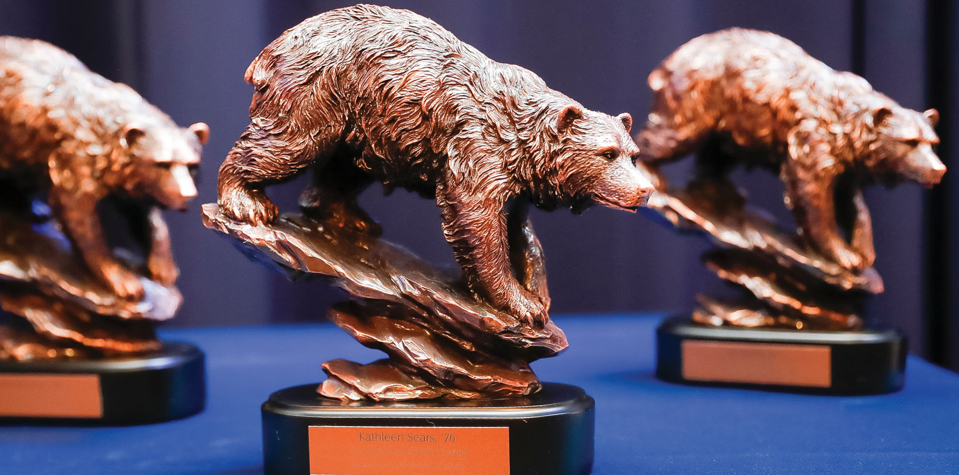 A close up of three bear trophies