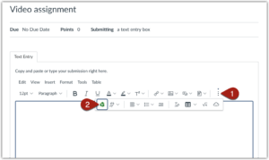 screen shot of the video assignment in Canvas