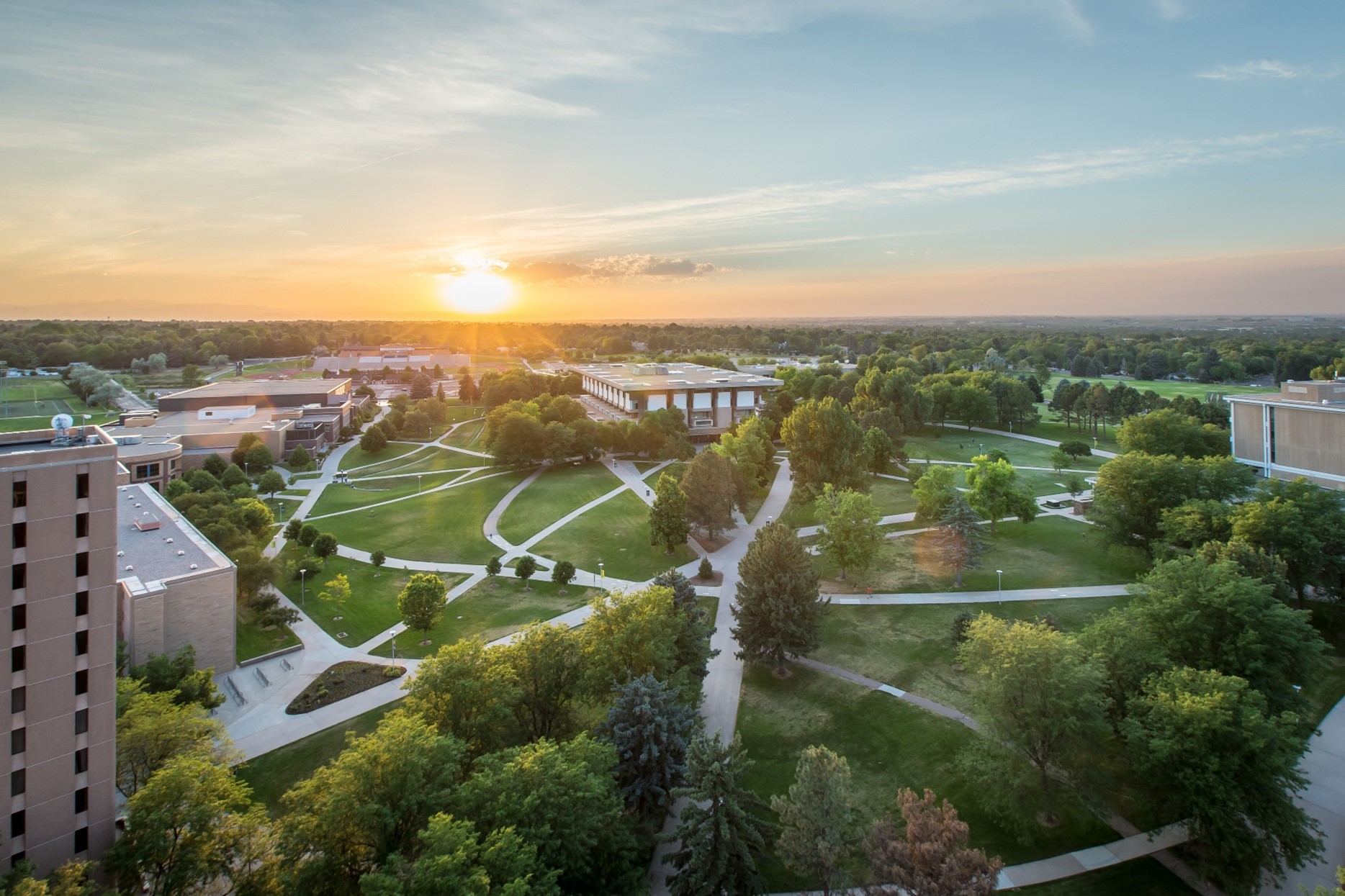 Bird-eye view of sidewalks on UNC Campus