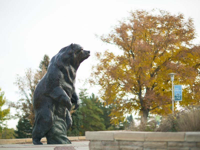 Northern Vision stands with an autumn tree in the background