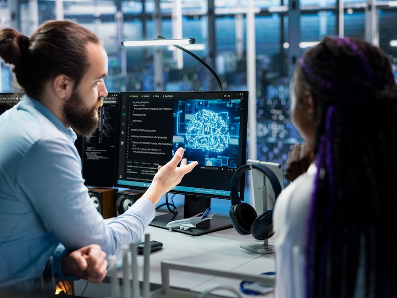 Comuter science industry professional with student