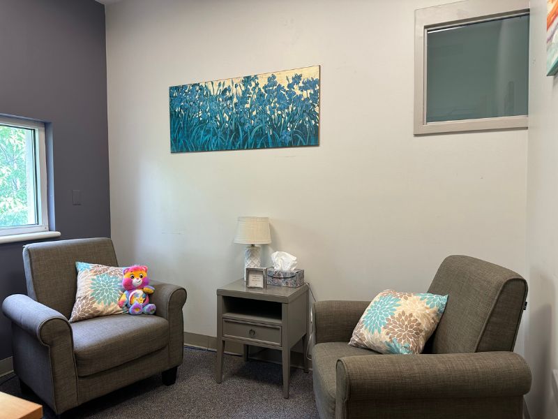 A comfortable treatment room environment with two plush chairs