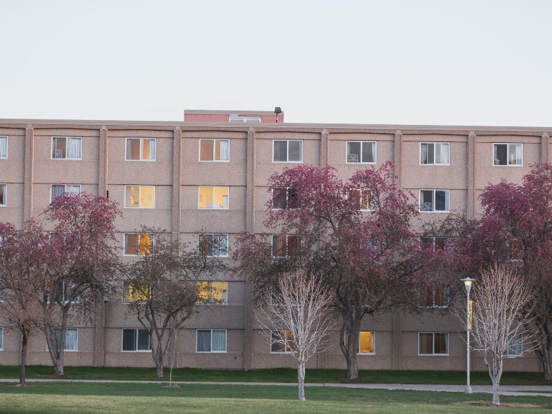 Harrison Hall exterior at spring time with trees in bloom