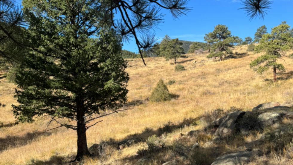 Scenery around Old Man Mountain