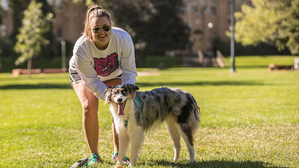 An Australian Shepard plays with their owner on a warm fall day.