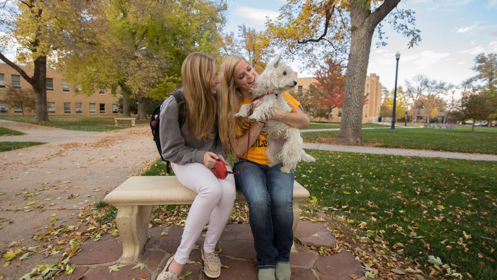 A small dog sits with two students on a bench on campus during the fall