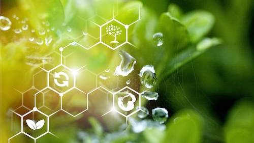 close up of plants with cell graphic overlaid