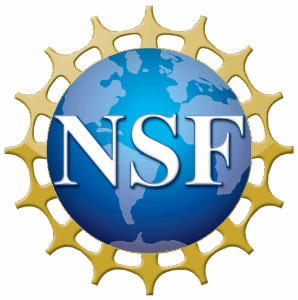 Logo of NSF