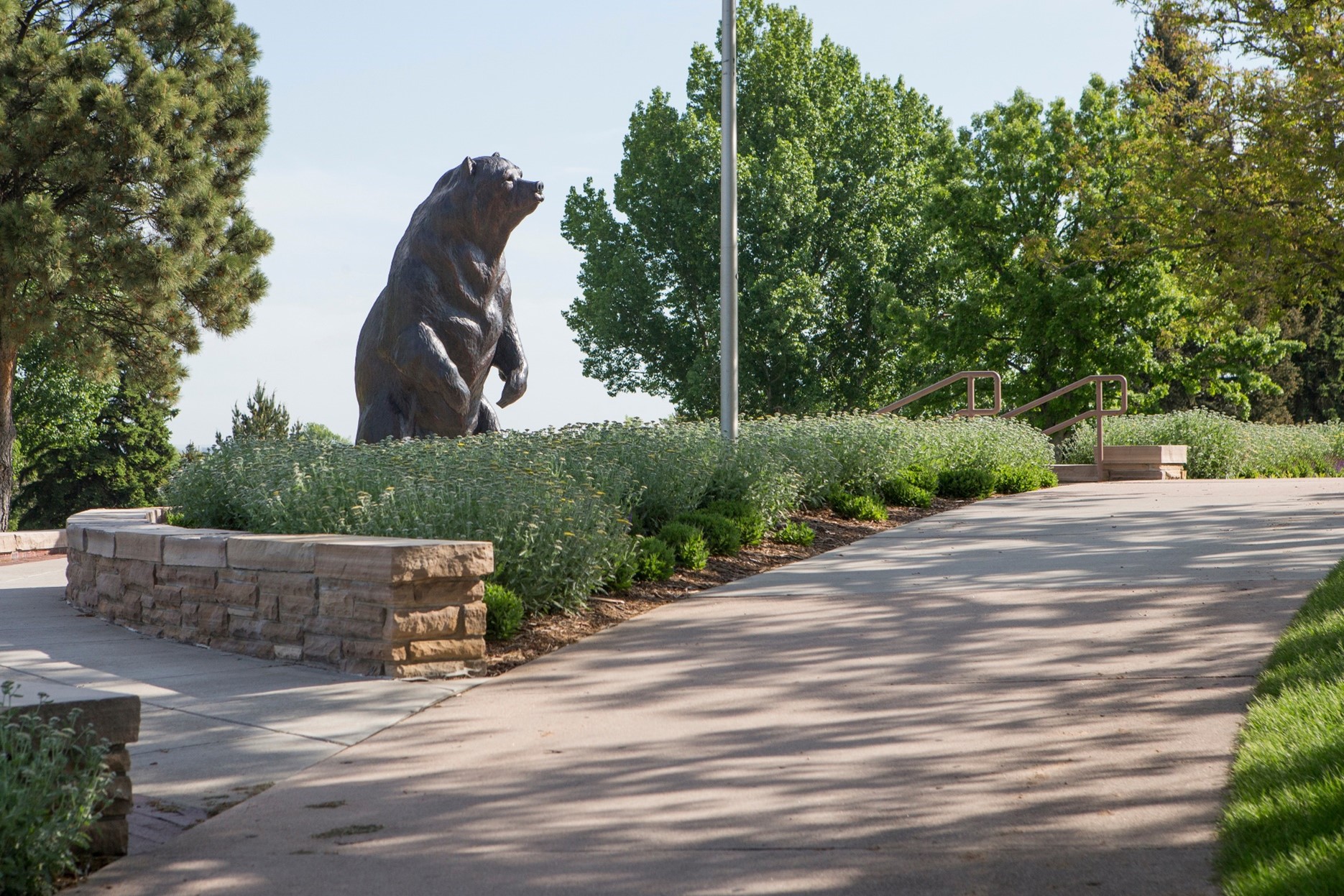 Bear Statue at UNC campus