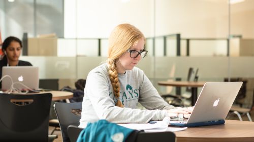 A student works on a computer in the Campus Commons.