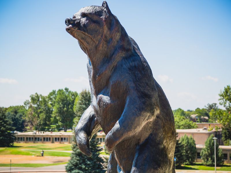 A close up of Northern Vision