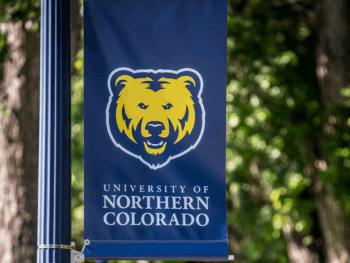 A UNC banner on a light post on campus
