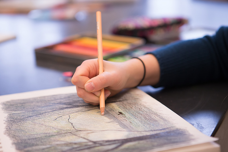 Closeup of a student drawing.