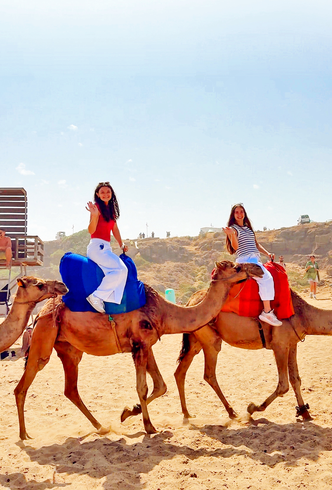 Students riding camels