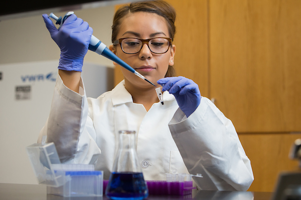 Bio student testing samples in lab