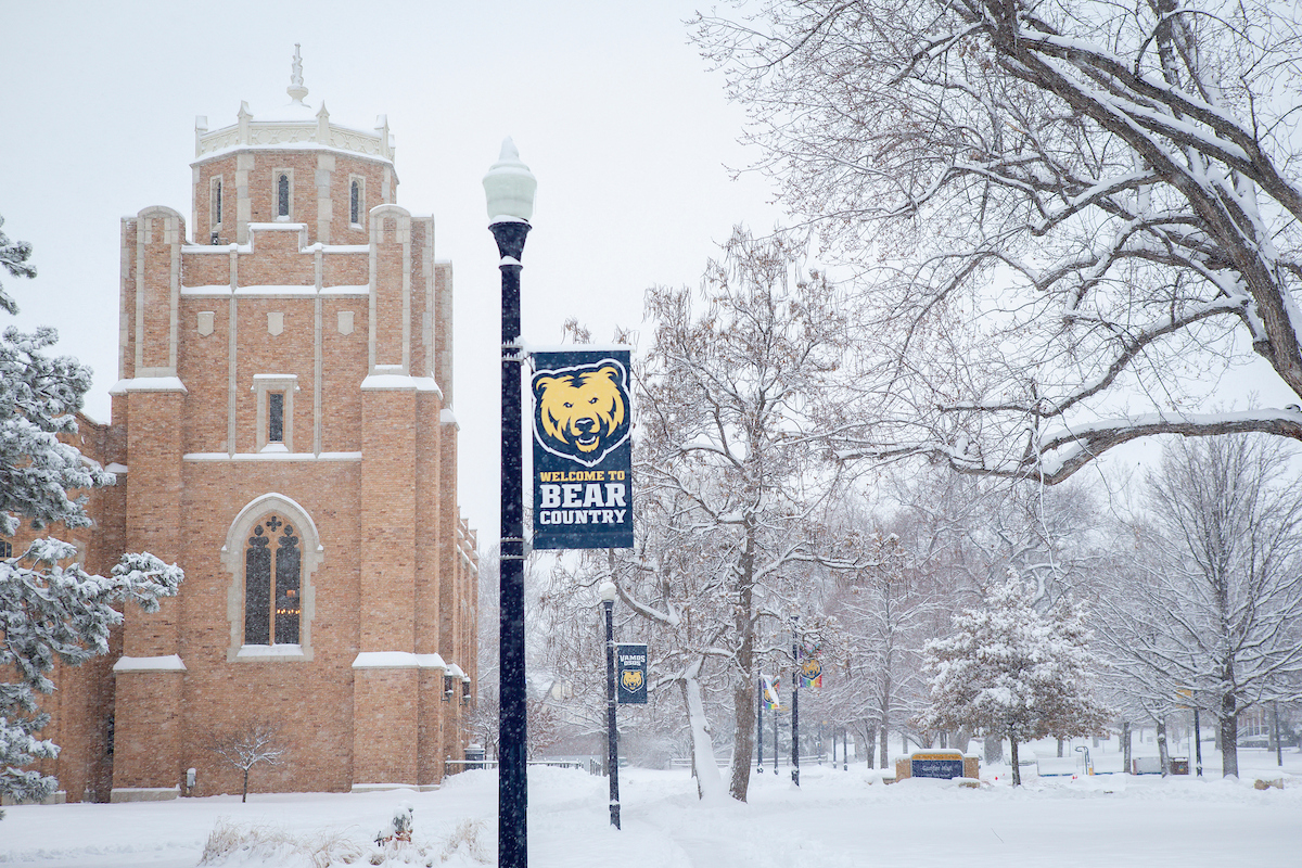 Gunter on a snowy day