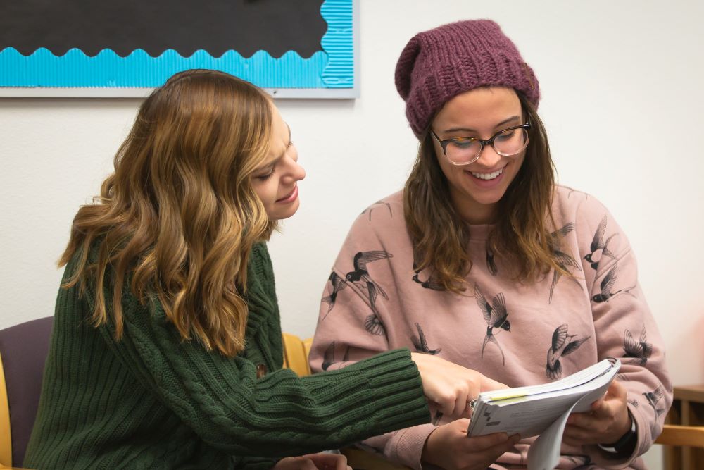 A consultant helping a student